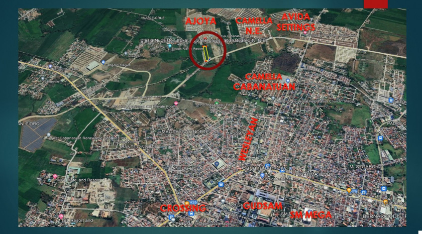 7,739 SQM Lot For Sale Along Vergara Highway Near Camella Cabanatuan City, Nueva Ecija