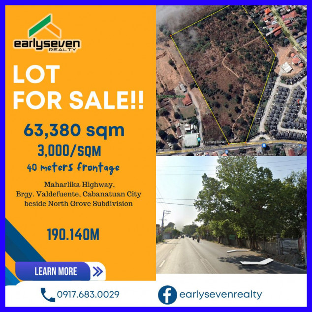 Lot For Sale Along Maharlika Highway, Cabanatuan City Beside North Grove Subdvision
