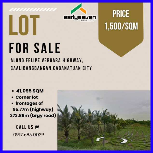 LOT FOR SALE!!!  ALONG FELIPE VERGARA HIGHWAY,  CAALIBANGBANGAN, CABANATUAN CITY