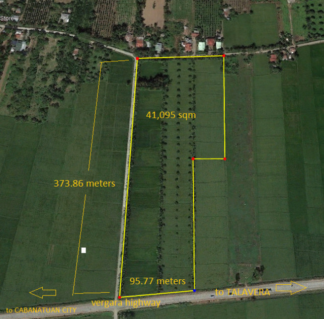 LOT FOR SALE!!!  ALONG FELIPE VERGARA HIGHWAY,  CAALIBANGBANGAN, CABANATUAN CITY