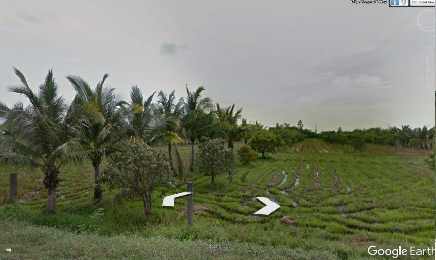 LOT FOR SALE!!!  ALONG FELIPE VERGARA HIGHWAY,  CAALIBANGBANGAN, CABANATUAN CITY