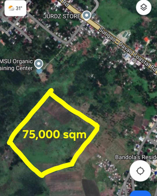 7.5 Hectares Land In Poblacion, Tagbina, Surigao Del Sur — For Residental Or Agricultural Use