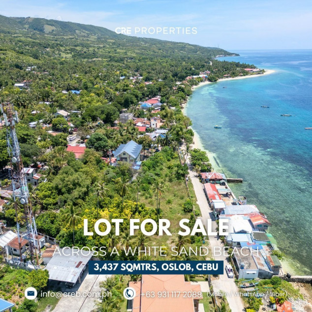 Lot For Sale Across A White Sand Beach - Lagunde Oslob, Cebu