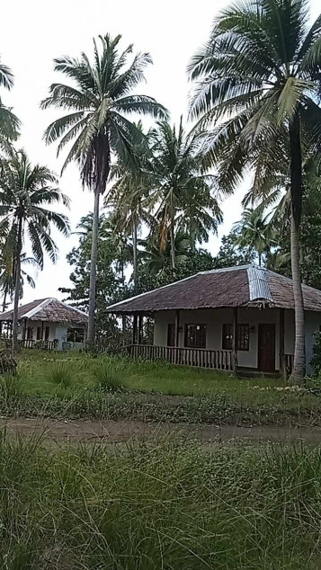 For Sale 11,000 SQM Beach Front Resort In Narra, Palawan
