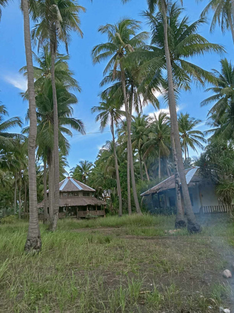 For Sale 11,000 SQM Beach Front Resort In Narra, Palawan