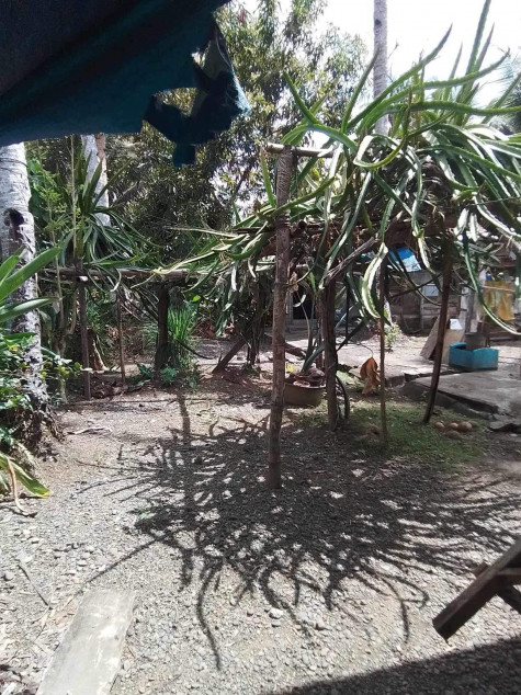 600 SQM House And Lot For Sale At Agusan Del Sur