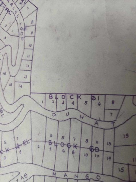 29 SQM Lot for Sale on Duhat St, Binangonan, Rizal
