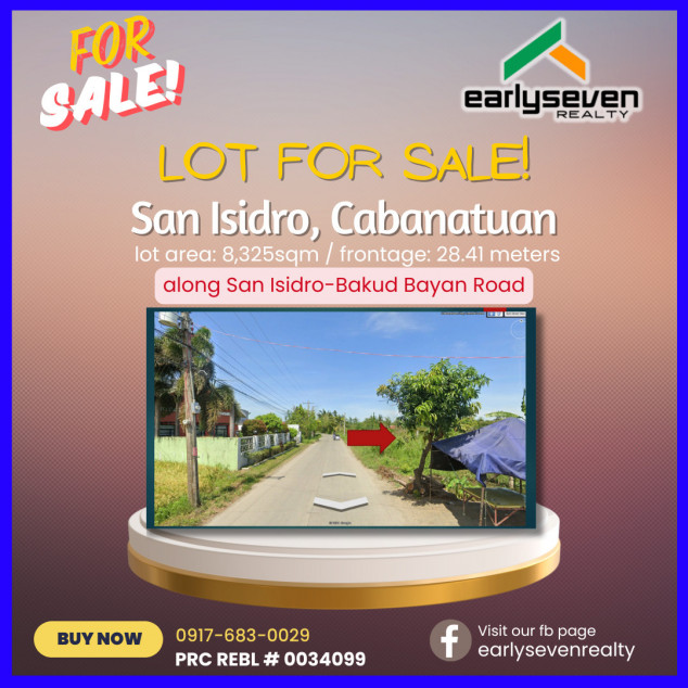 8,325 SQM Lot For Sale In San Isidro, Cabanatuan City