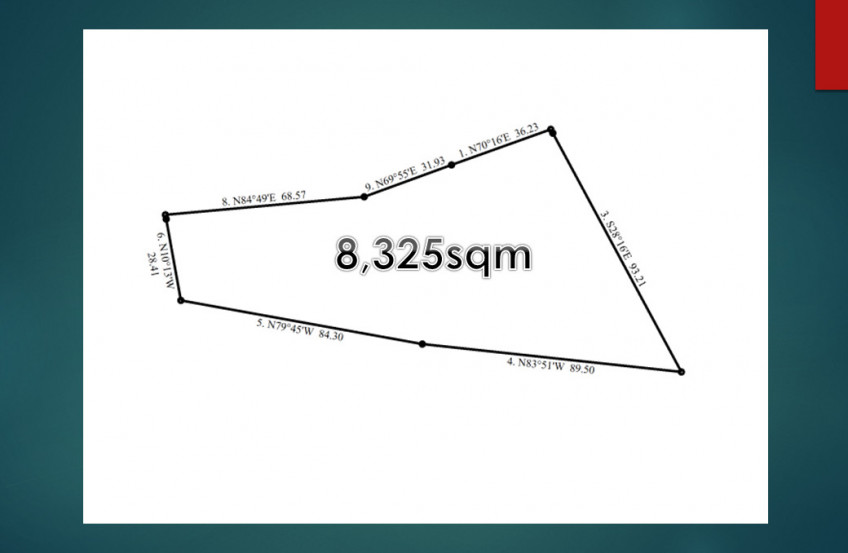 8,325 SQM Lot For Sale In San Isidro, Cabanatuan City