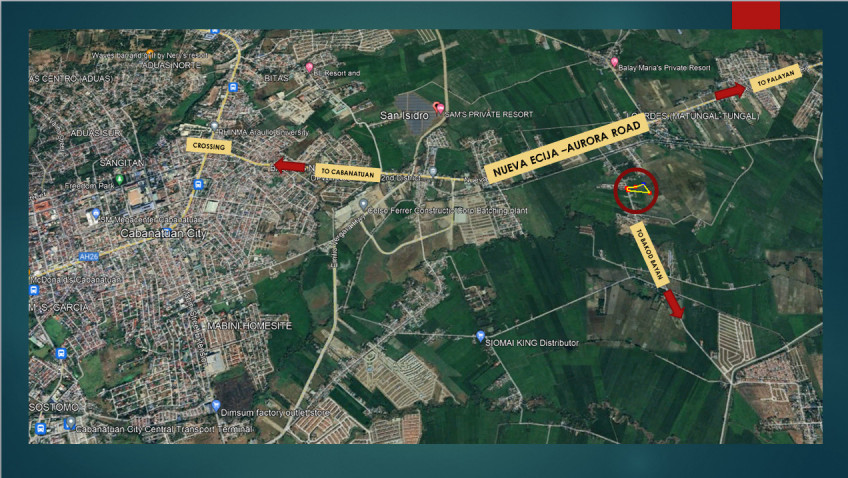 8,325 SQM Lot For Sale In San Isidro, Cabanatuan City