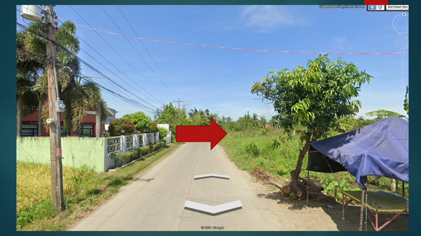 8,325 SQM Lot For Sale In San Isidro, Cabanatuan City