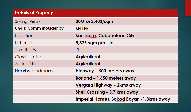 8,325 SQM Lot For Sale In San Isidro, Cabanatuan City