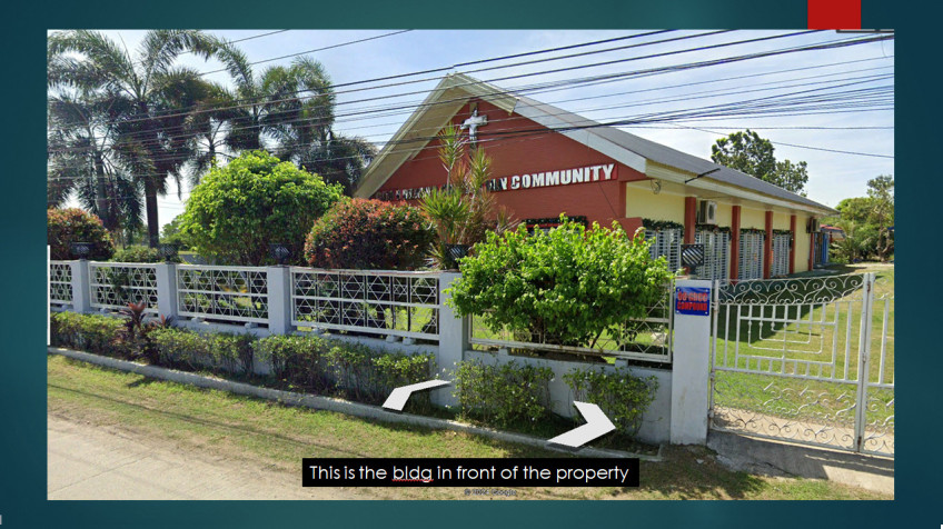 8,325 SQM Lot For Sale In San Isidro, Cabanatuan City
