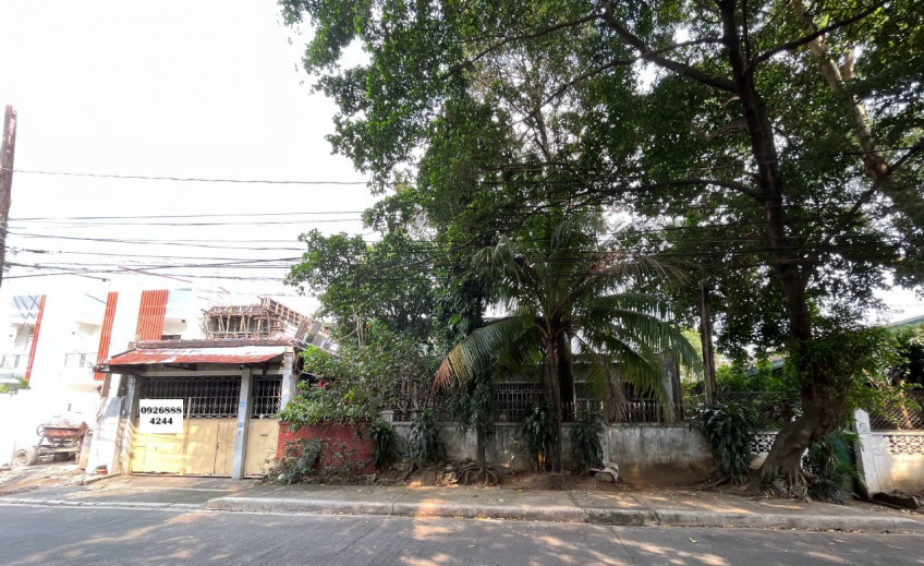 Lot With Old House For Sale In Teacher's Village, Diliman, Quezon City