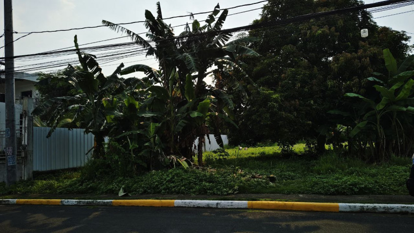 Lot for Sale in Doña Carmen Subdivision, Commonwealth, Quezon City, Metro Manila