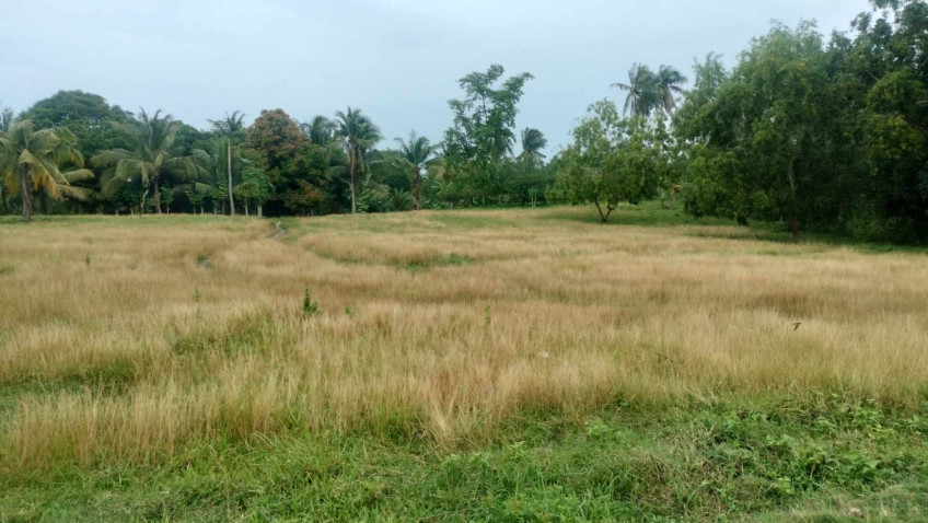 21,690 SQM Commercial Lot Along National Highway Busogon San Remigio Cebu