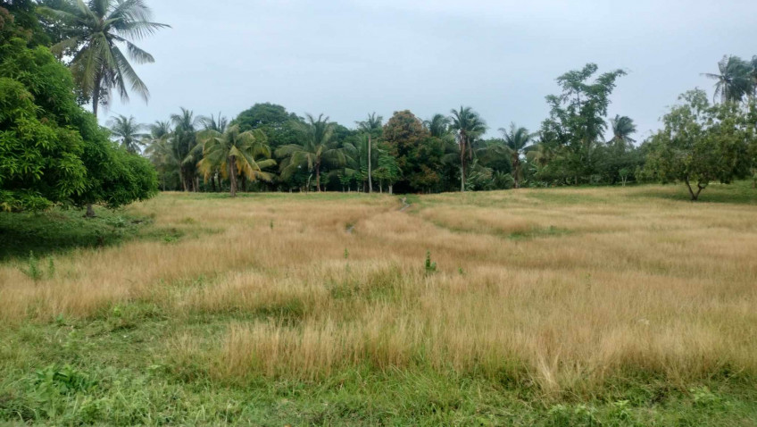 21,690 SQM Commercial Lot Along National Highway Busogon San Remigio Cebu