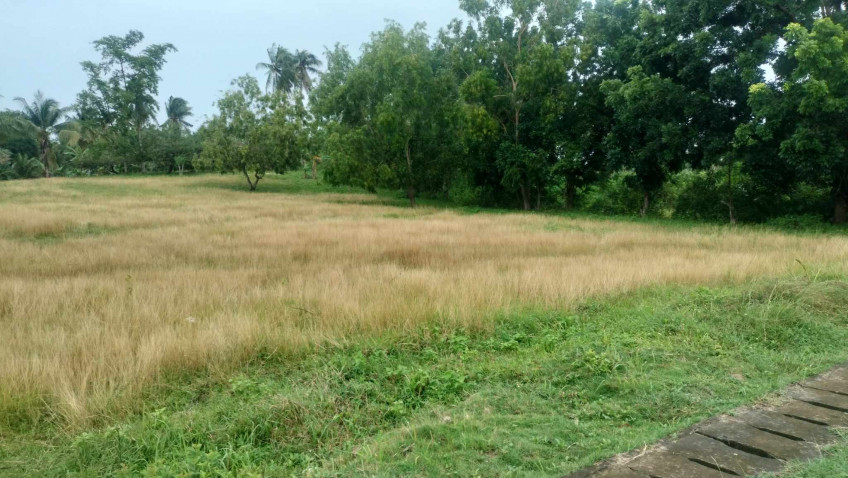 21,690 SQM Commercial Lot Along National Highway Busogon San Remigio Cebu
