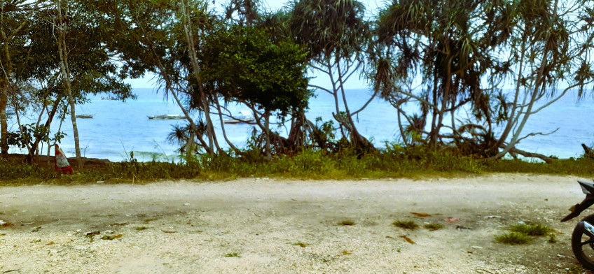 Beach Lot In San Isidro Dauis Overlooking White Sand Beach