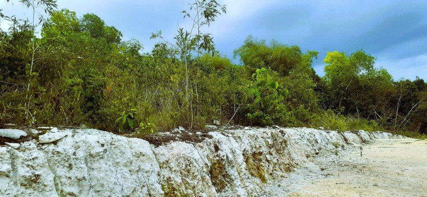 Beach Lot In San Isidro Dauis Overlooking White Sand Beach