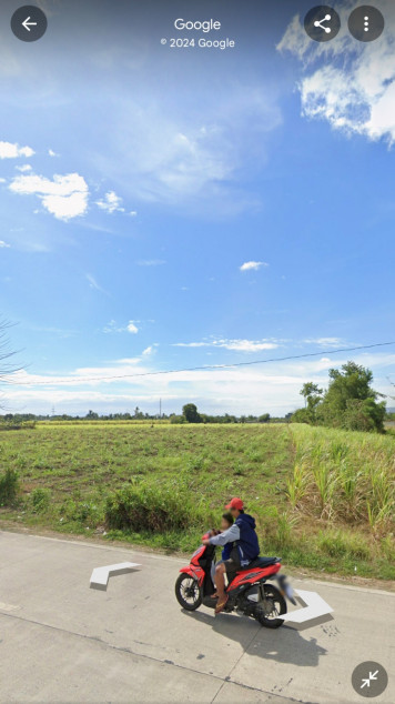 1 Hectare Land For Sale In Balayan, Batangas