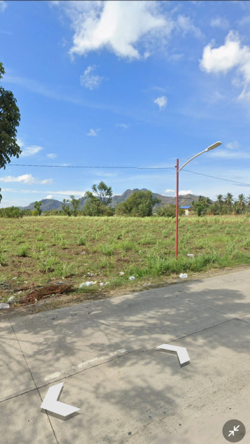 1 Hectare Land For Sale In Balayan, Batangas