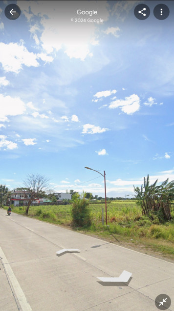 1 Hectare Land For Sale In Balayan, Batangas