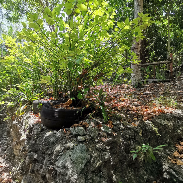 For Sale Residential Lot Beside A River In Dauis, Bohol