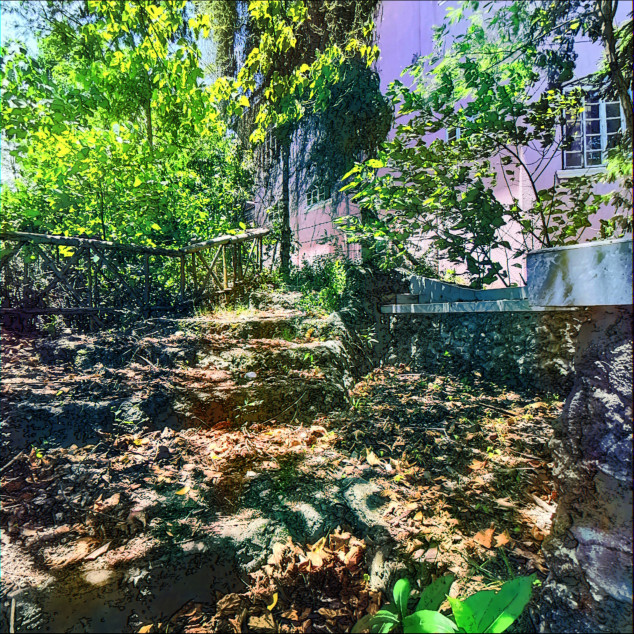 For Sale Residential Lot Beside A River In Dauis, Bohol