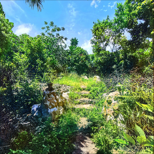 For Sale Residential Lot Beside A River In Dauis, Bohol