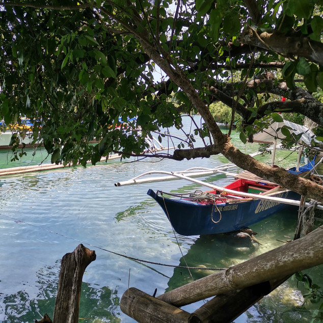 For Sale Residential Lot Beside A River In Dauis, Bohol