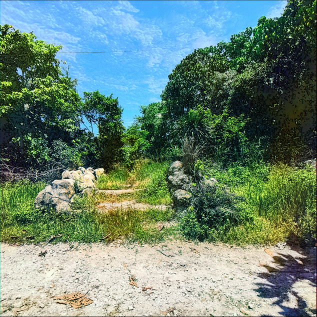 For Sale Residential Lot Beside A River In Dauis, Bohol