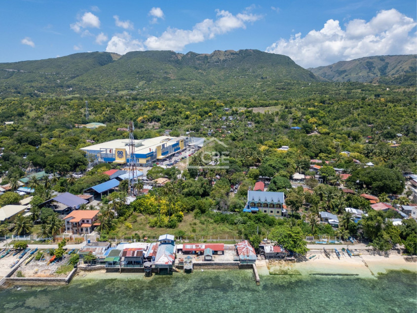 Lot For Sale Across A White Sand Beach - Lagunde Oslob, Cebu