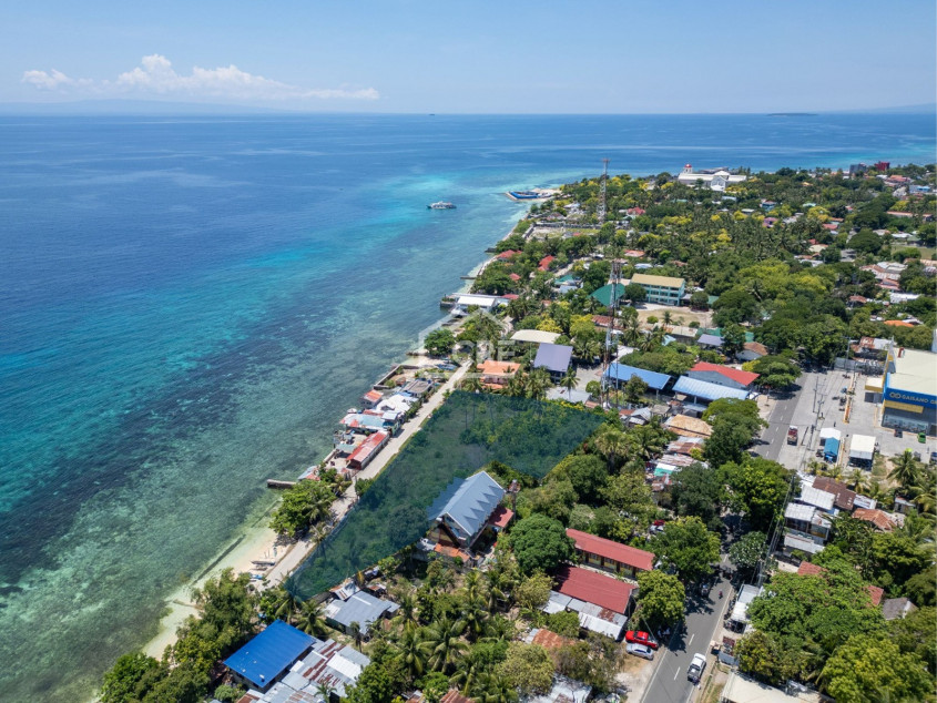 Lot For Sale Across A White Sand Beach - Lagunde Oslob, Cebu