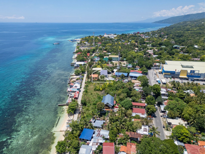 Lot For Sale Across A White Sand Beach - Lagunde Oslob, Cebu