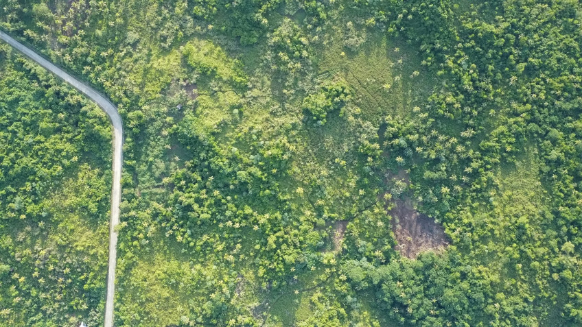 2 Hectare Lot For Sale In Siargao