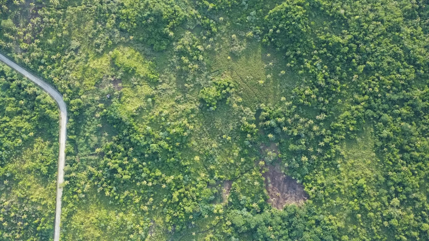 2 Hectare Lot For Sale In Siargao