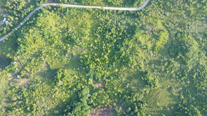 2 Hectare Lot For Sale In Siargao