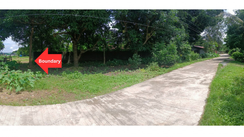 For Sale Land Property For Residential, Commercial, Farm Agoo, La Union