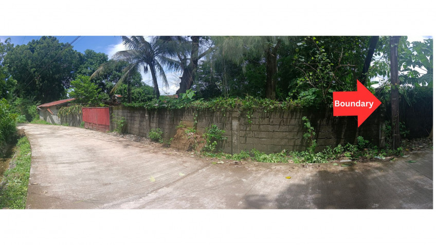 For Sale Land Property For Residential, Commercial, Farm Agoo, La Union