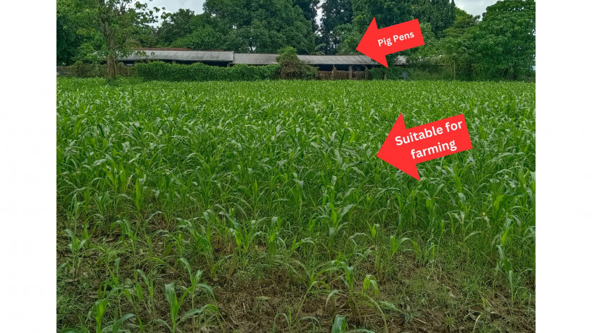 For Sale Land Property For Residential, Commercial, Farm Agoo, La Union