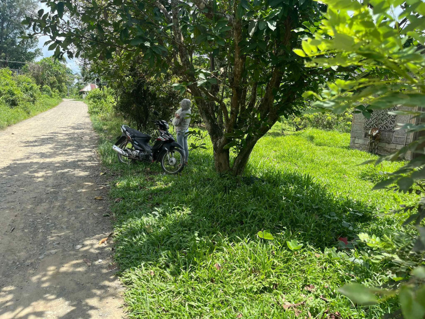 Titled Lot for Sale in Trinidad, Bohol – 9,975 sqm