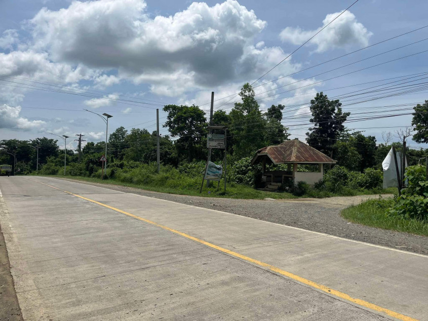 Titled Lot for Sale in Trinidad, Bohol – 9,975 sqm