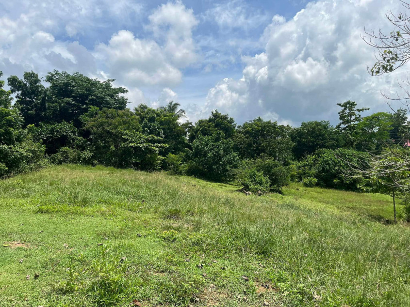 Titled Lot for Sale in Trinidad, Bohol – 9,975 sqm