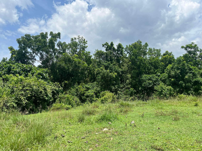 Titled Lot for Sale in Trinidad, Bohol – 9,975 sqm