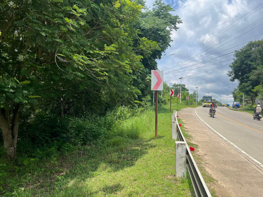 Titled Lot for Sale in Trinidad, Bohol – 9,975 sqm