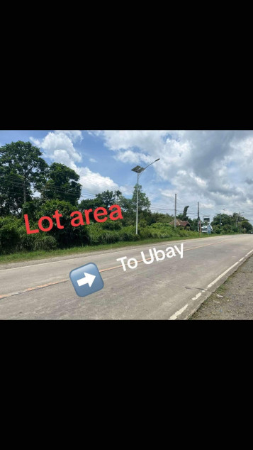 Titled Lot for Sale in Trinidad, Bohol – 9,975 sqm
