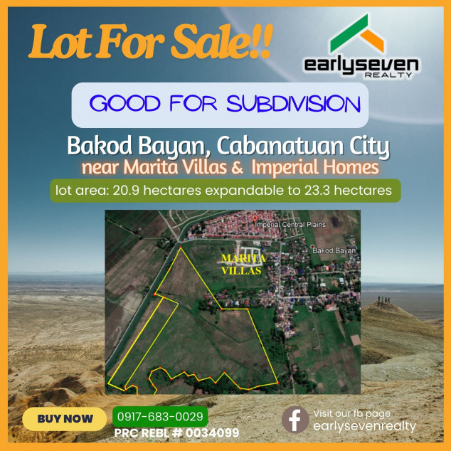 Lot For Sale In Cabanatuan, Nueva Ecija (Good For Subdivision)