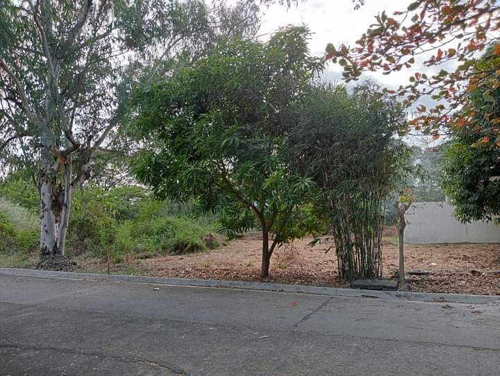 Lot For Sale With Clean Title In Guiguinto, Bulacan