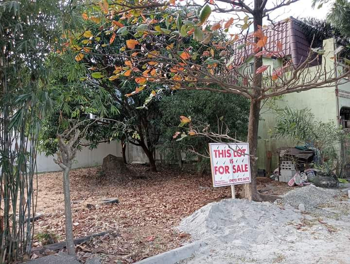 Lot For Sale With Clean Title In Guiguinto, Bulacan